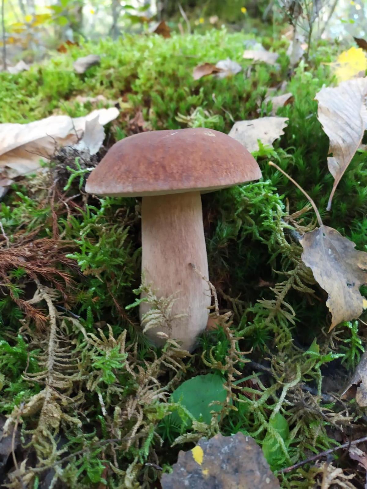 Il Rifugio Di Vale Villa Cetica Kültér fotó