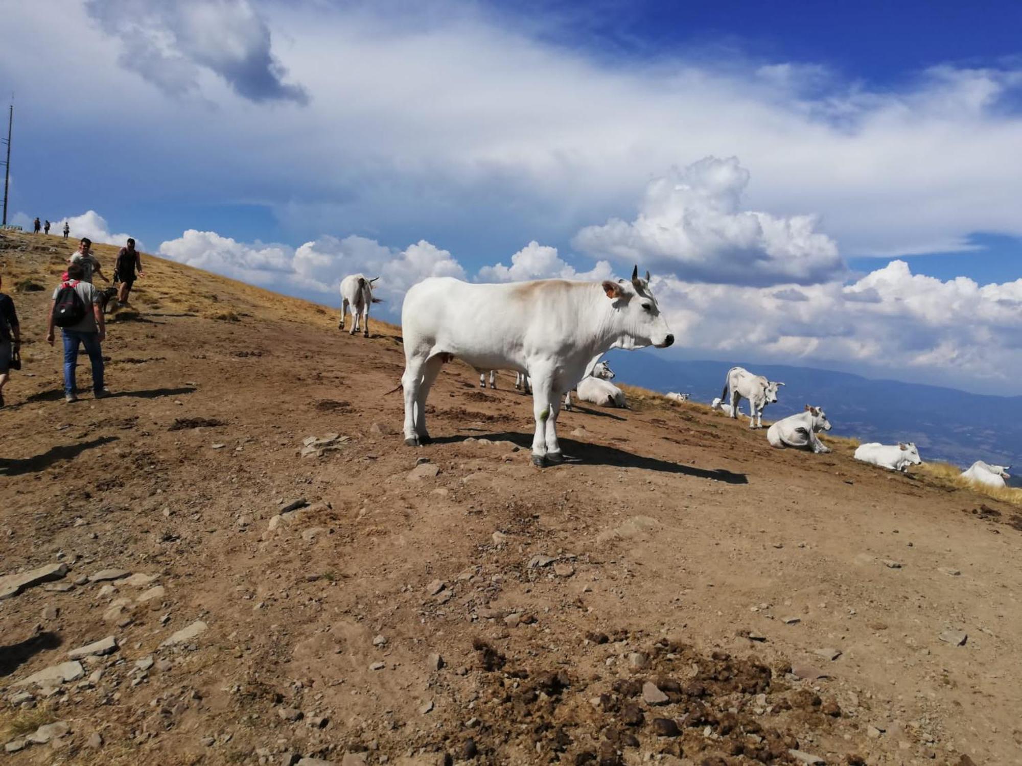 Il Rifugio Di Vale Villa Cetica Kültér fotó
